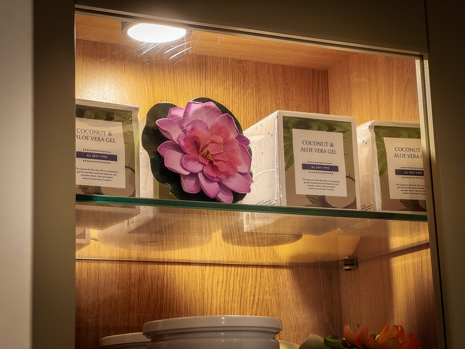 Infection Prevention Conference